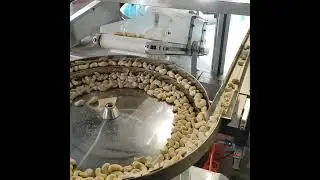 Food visual inspection #visualinspection #nutsorting #automation
