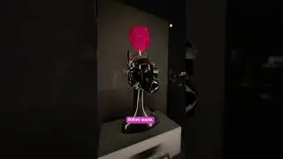 Museum Of sex 