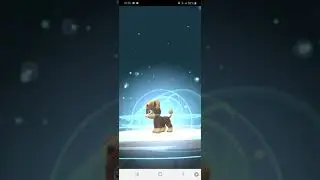 Litleo evolution to Pyroar