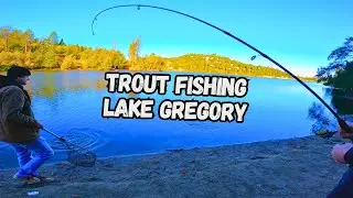 Shore Fishing for HUNGRY Stocked Trout | Lake Gregory