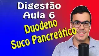 Digestão Aula 6 Duodeno e Suco Pancreático