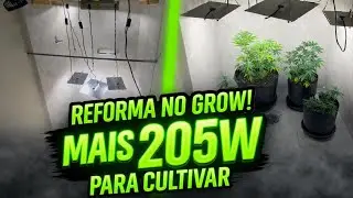 REFORMEI O GROW DO BANHEIRO! +205W DE POT&Ecirc;NCIA NO BANHEIRO! 