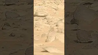 Sol-917 Mars: Perseverance's Latest Research On Red Mars | Strange Stones Found #nasa2023 #shorts