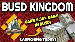 BUSD KINGDOM Review (EARN 4.35% DAILY PASSIVE INCOME!!) | Get In EARLY On BUSD Kingdom Crypto!!