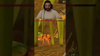 col&eacute;opt&egrave;re vs Coccinelles | #wnorzip sur #Twitch #grounded2 #shorts #gaming #twitchclipsfr #reaction