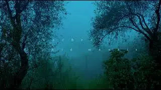 &Oslash;neheart & Orchid Mantis - Sleepy eyes (1hour)