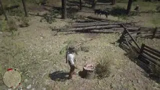 RDR2 #rdr2 #double bit #hatchet