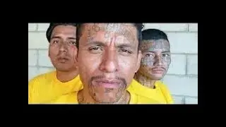 Der Gangster-Kodex: Die 18th Street Gang - HD Doku
