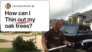 🌳 How to Thin Out and Trim Oak Trees Like a Pro | Tree Care & Pruning Tips
