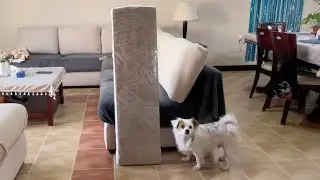 Unboxing & Assembling Big Mirror from Amazon