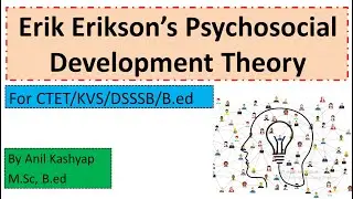 Psychosocial Development Theory by Erik Erikson for CTET/B.ed/DSSSB/KVS