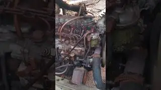 ISUZU C240 diesel engine generator set @Boy-Jack #diesel #dieselengine #dieselpower #machine