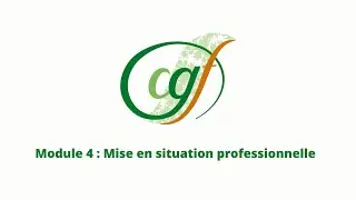 Module 4 : Mise en situation professionnelle