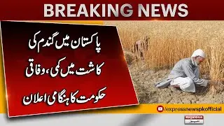 Wheat Cultivation Declines in Pakistan | Federal Govt&rsquo;s Emergency Announcement