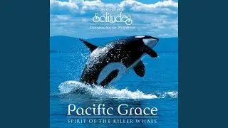 Mystic Tides