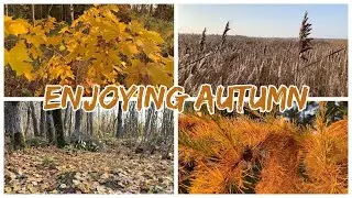 LEARNING TO ENJOY AUTUMN & LIVING IN THE MOMENT || SLOW LIVING || AUTUMN IN FINLAND