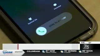 Protecting seniors from scammers