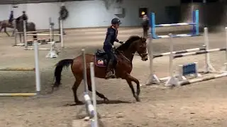 JUMPING LESSON, 08.01.2020, Therese Moser & Cara