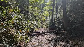 Hiking in appalachian mountains in early fall | Hiwassee River