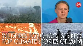Wildfires to school strikes: top climate stories of 2019