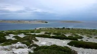 Apalucha Neptun 2011 - video 4