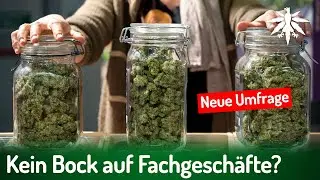 Kein Bock auf Fachgesch&auml;fte? Neue Umfrage | DHV-News # 494