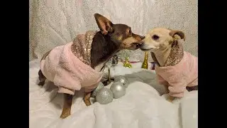 Celebrating New Year's At Lake Arrowhead Village! | Ep 191 | Chewby & Snow White 😎🥰😁😆#2026 #dogs