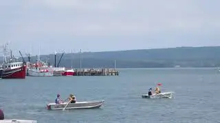 Digby Lobster Bash  Row Boat race