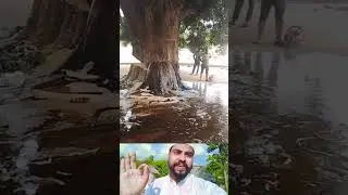 अल्लाह की कुदरत &hearts;️ #allah #allahuakbar #loveallah786 #masaallah #islam