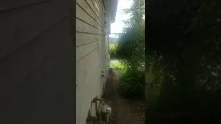 How to Build Cat Stairs Tutorial