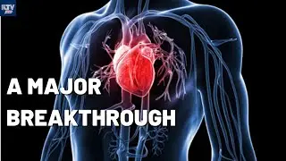 Miniature Human Heart Created in a Lab!