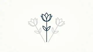 Funeral Director Bristol | MW Funeral Directors 0117 950 4100 (24 hours)