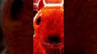 Squirrel Gun #gaming #funny #squirrel #squirrelwithagun