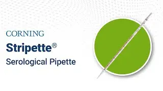 Corning Stripette Serological Pipette
