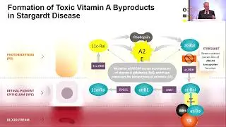 AIOS2025 GP24 T Dr Hendrik SCHOLL Potential Treatments for Inherited Retinal Diseases