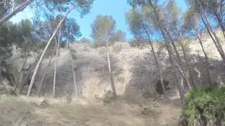 CDR 6
