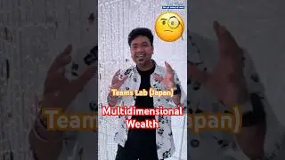 How to make your wealth multidimensional - Prince Jain, CFA CFP  #japan #wealth #investing #share
