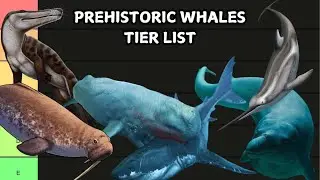 PREHISTORIC WHALES RANKING (TIER LIST)#whale #tierlist #ranking #basilosaurus #perucetus #livyatan