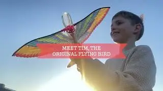 Tim The Original Flying Bird Tiger Tribe