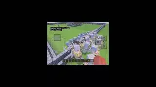Pillager & vindicator vs iron golem