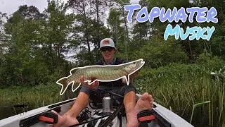 Northern Wisconsin river Musky (& MONSTER smallies!!)