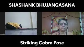SHASHANK BHUJANGASANA Striking Cobra Pose