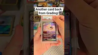 $300 Pokemon Card 😭 2023 Mew Charizard Ex SIR #pokemon #tcgcommunity #pokemoncards #pokemontcg