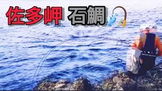 石鯛釣り　#65佐多岬