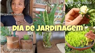 DIA DE JARDINAGEM |ArranjoS|vasinhos rústicos| Limpeza |Desabafo+motivação 