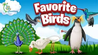 Top 10 Favorite Birds  |   Job Jams Countdown |  Educational Videos for Kids