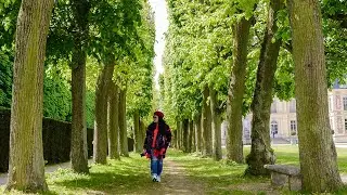 2017 France - Parc floral de Paris