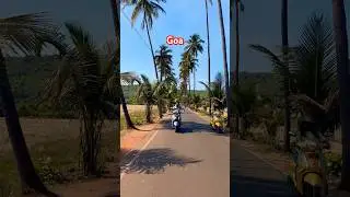 Goa Diaries #music #song #instrumental #love #bgm #goafest