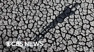How to manage climate change anxiety