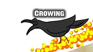 Crowing | Absurd birds